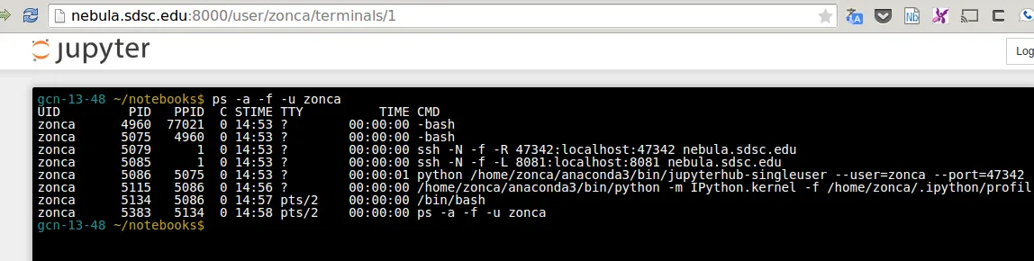 jupyterhub-hpc-terminal.png